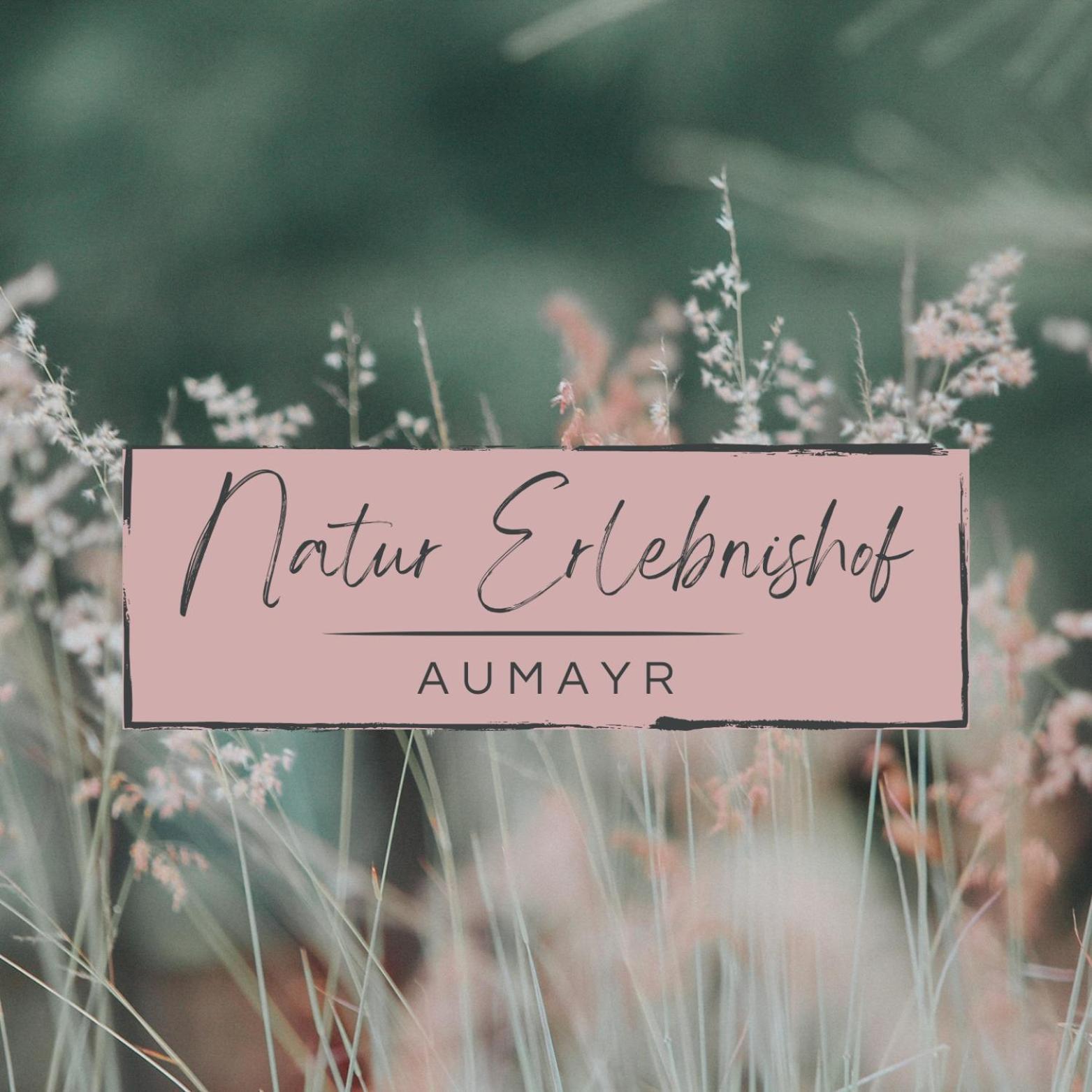Natur Erlebnishof Aumayr Gutau Εξωτερικό φωτογραφία